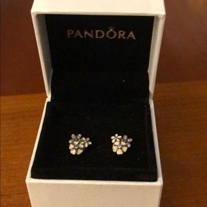 Pandora Earrings